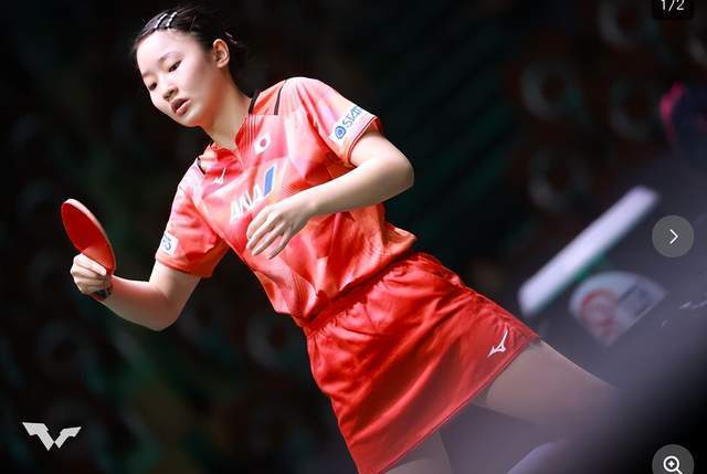 极端粉丝的 极端粉丝的